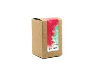 BYLINCA Jahoda & Ginkgo 18x2g